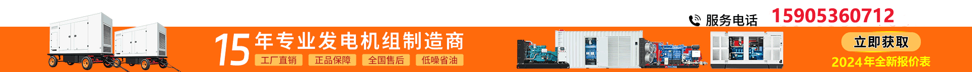 15年專業發(fā)電機制造商